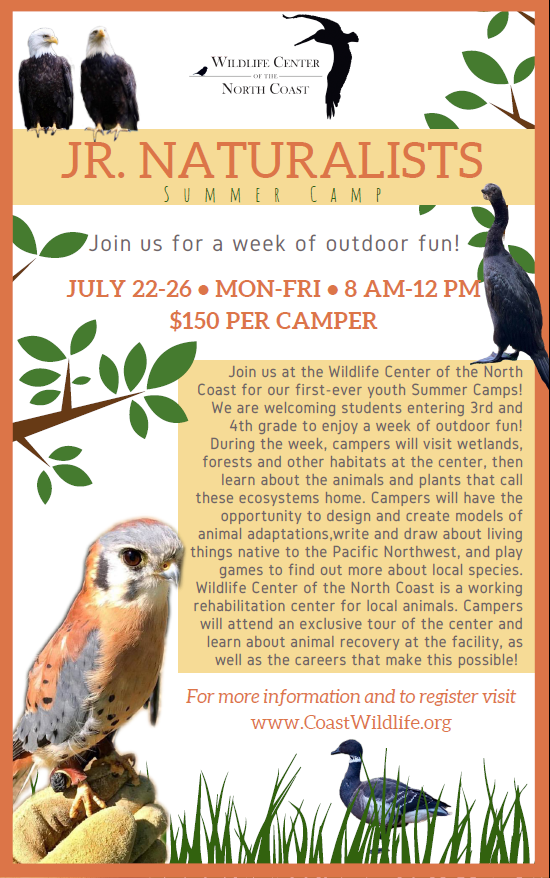 Junior Naturalists Summer Camp: A week of outdoor fun – July 22-26