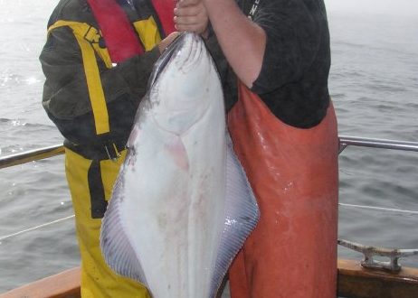 ODFW announces updates on Pacific halibut sportfishing season openings