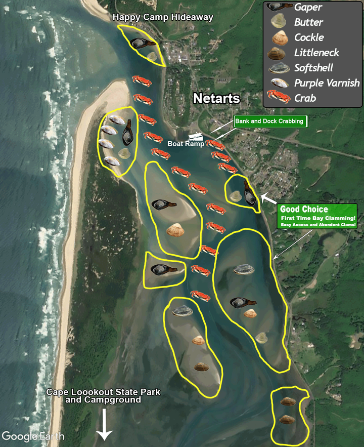 TILLAMOOK ESTUARIES PARTNERSHIP WHY NETARTS BAY IS SPECIAL