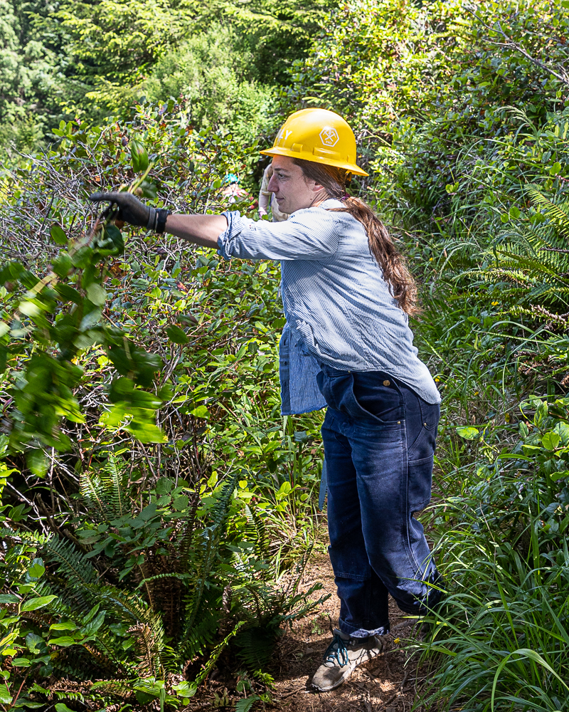 Trail Keepers of Oregon and Backcountry Hunters & Anglers Partner-Up on ...