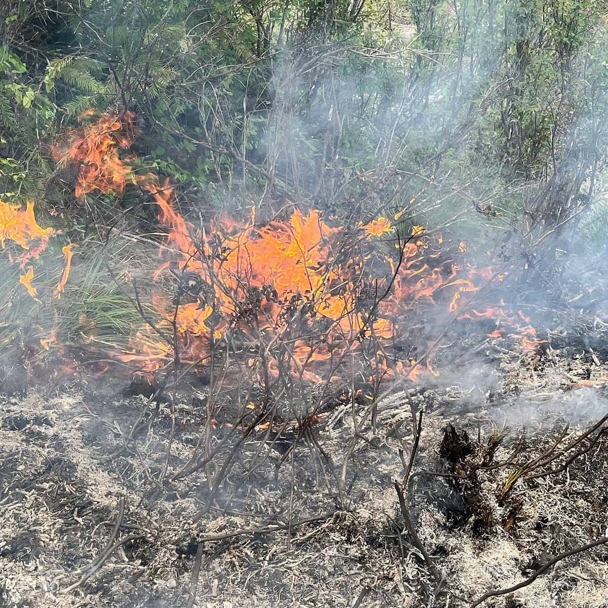 Burn Ban In Effect Starting Today Until Rainy Season