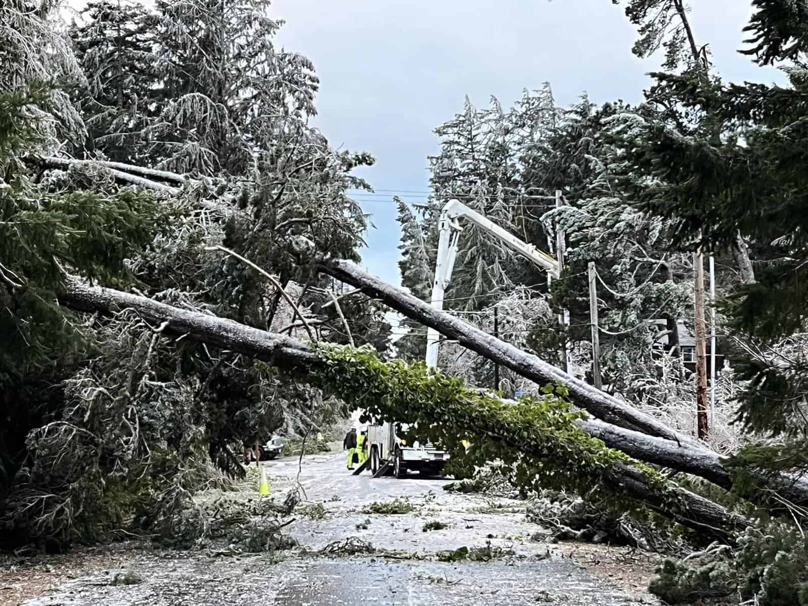 TILLAMOOK PUD: Crews Work Through Night to Restore Power During Ice Storm